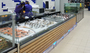 Холодильна вітрина для морепродуктів Вірджинія ICE — Технохолод