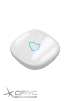 Кнопка виклику персоналу R-52 Bell Push RECS